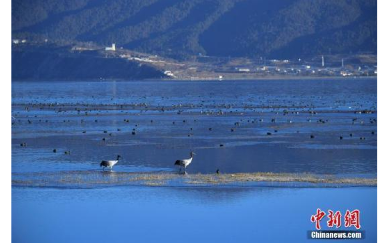 發(fā)改委要求：分階段研究提出美麗中國(guó)建設(shè)預(yù)期目標(biāo)